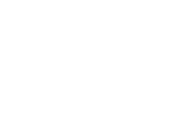 Pleiades Systems Logo